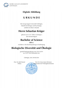 Sebastian_Urkunde_Bachelor