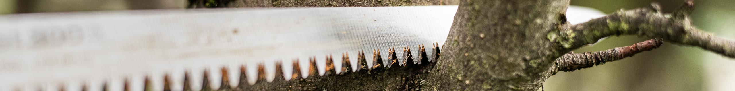 japanische Obstbaumsäge im Einsatz