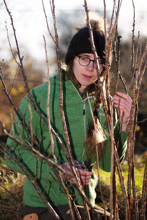 Mitgründerin Rebekka beim Johannisbeeren schneiden