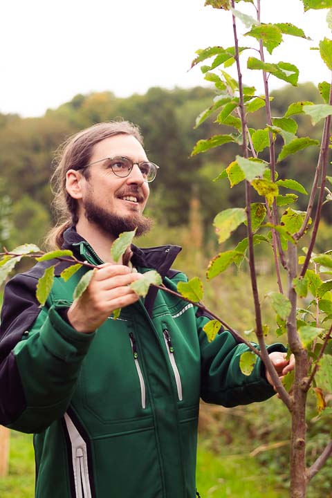 Mitgründer Sebastian beim Jungbaumwuchs begutachten